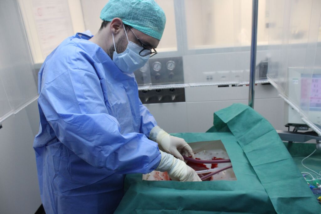 Ein Chirurg schliesst die Spenderleber an die Perfusionsmaschine an