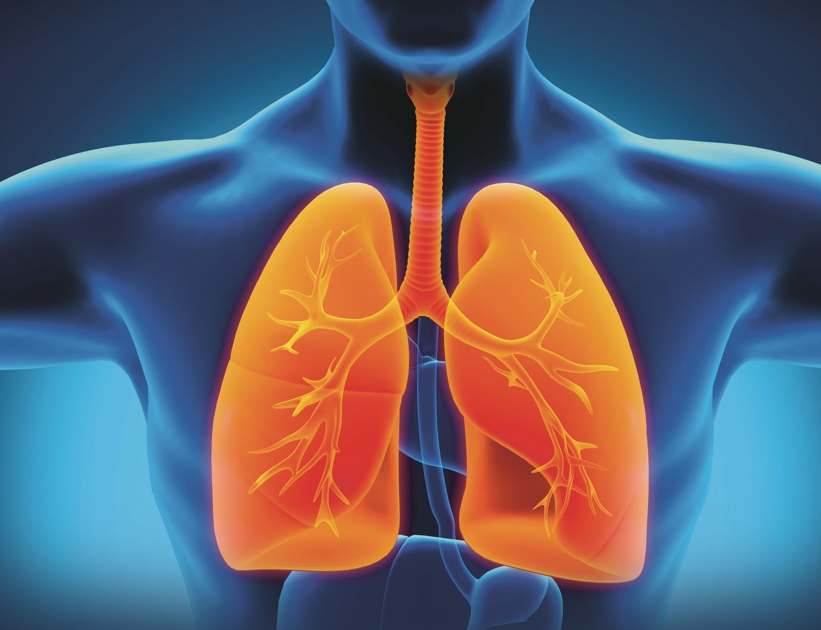 Illustration des Körperinneren mit Fokus auf die Lunge