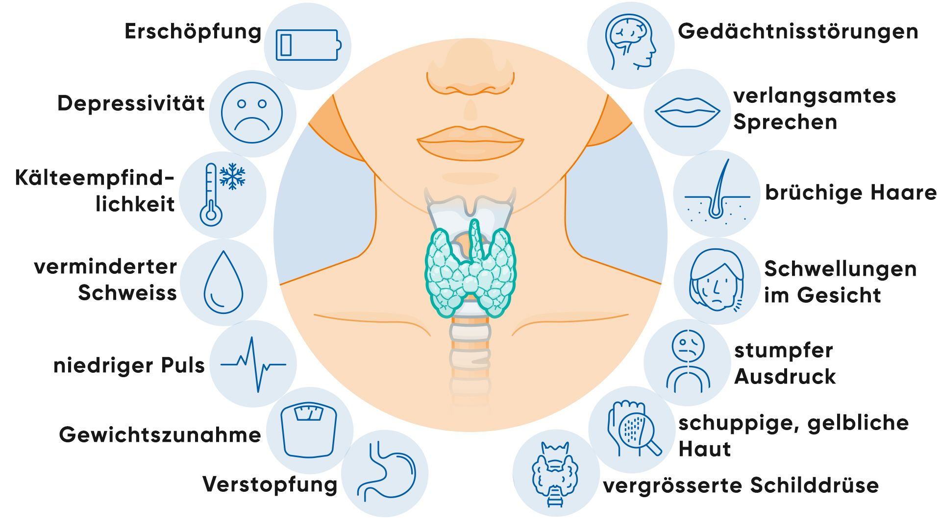 Illustration von Symptome bei Schilddrüsenunterfunktion