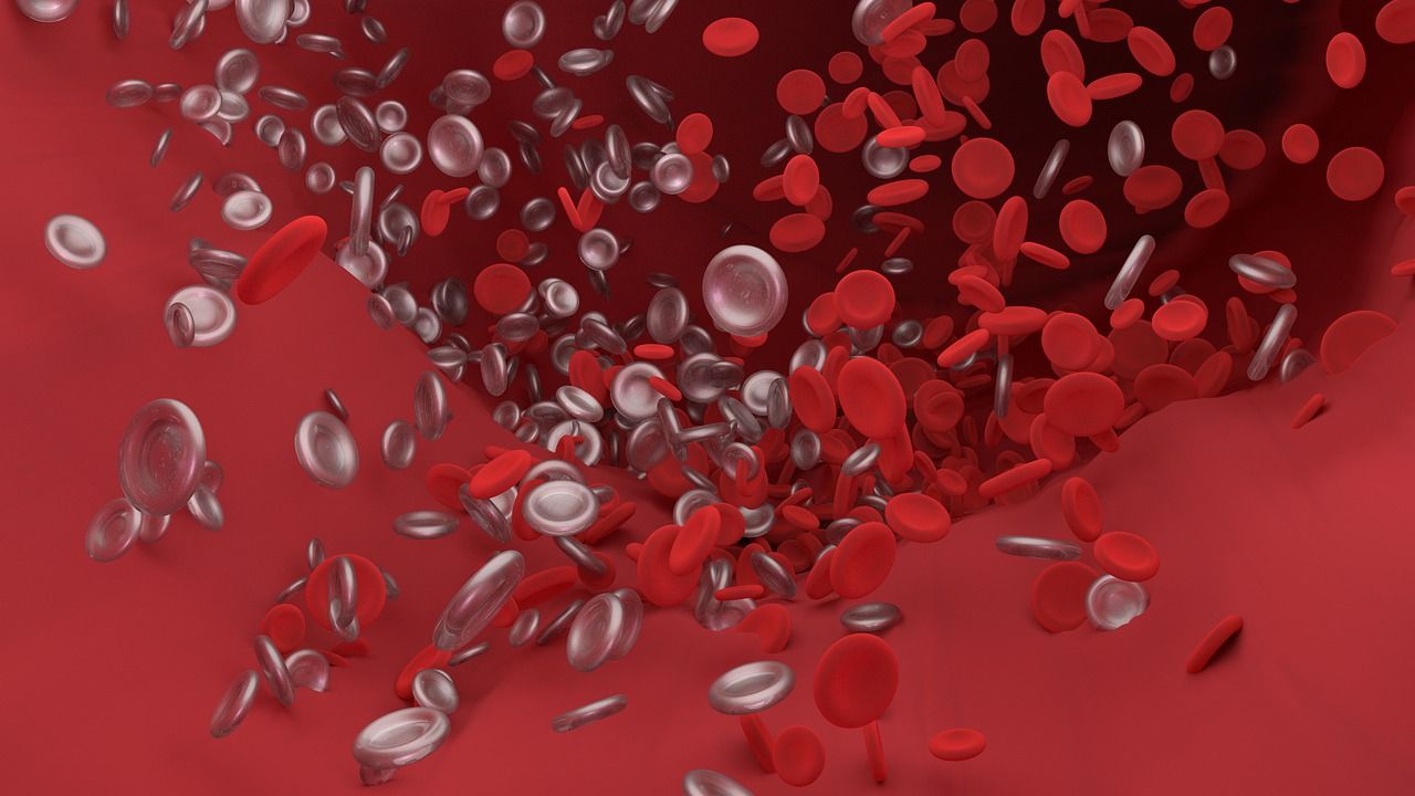 Illustration of blood cells in an artery