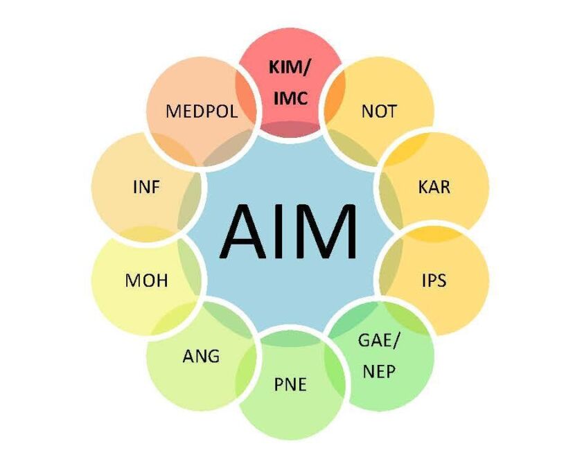 Weiterbildungsprogramm für Allgemeine Innere Medizin