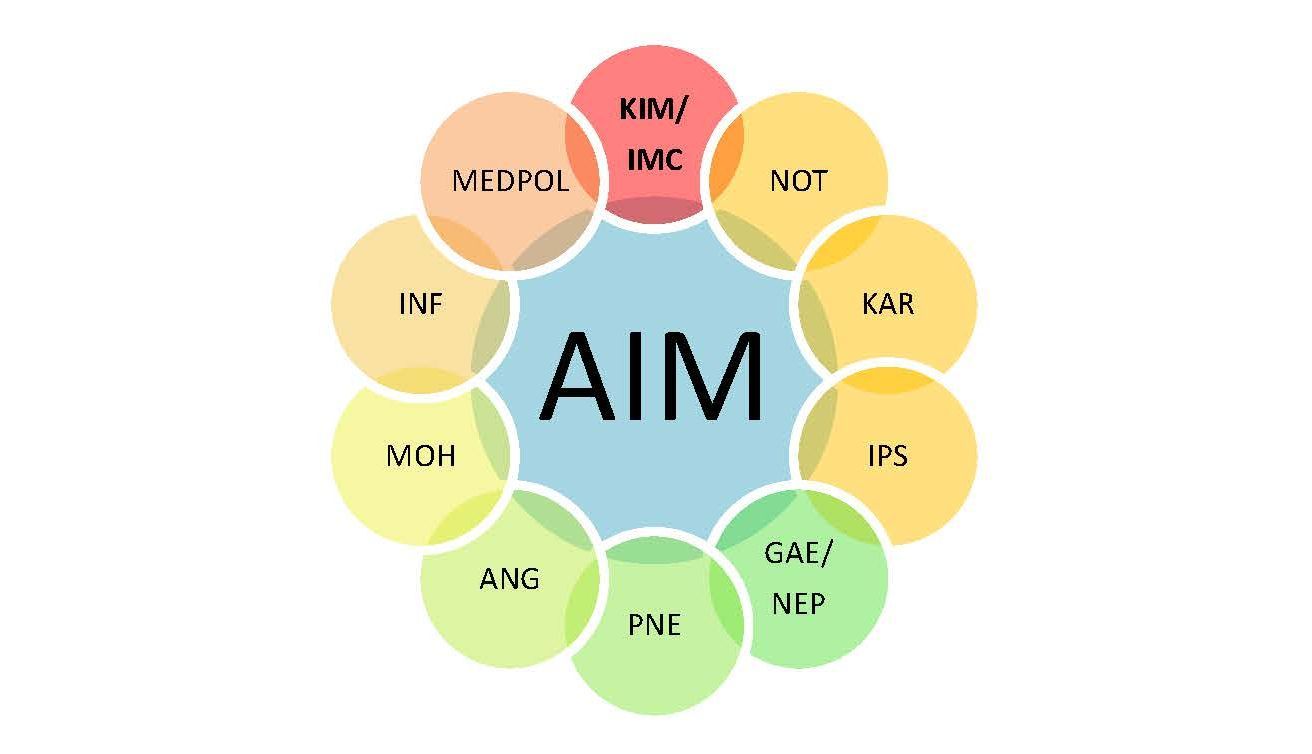 Weiterbildungsprogramm für Allgemeine Innere Medizin