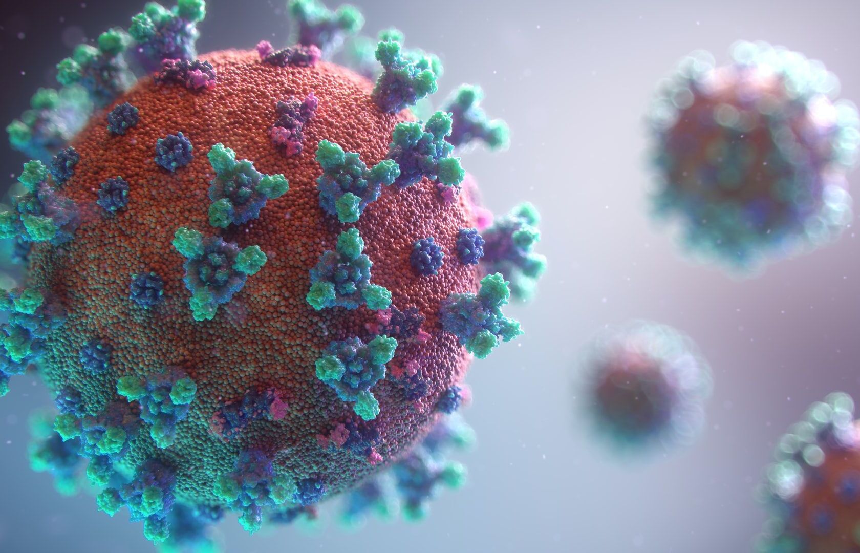 Computer animiertes Bild eines Virus