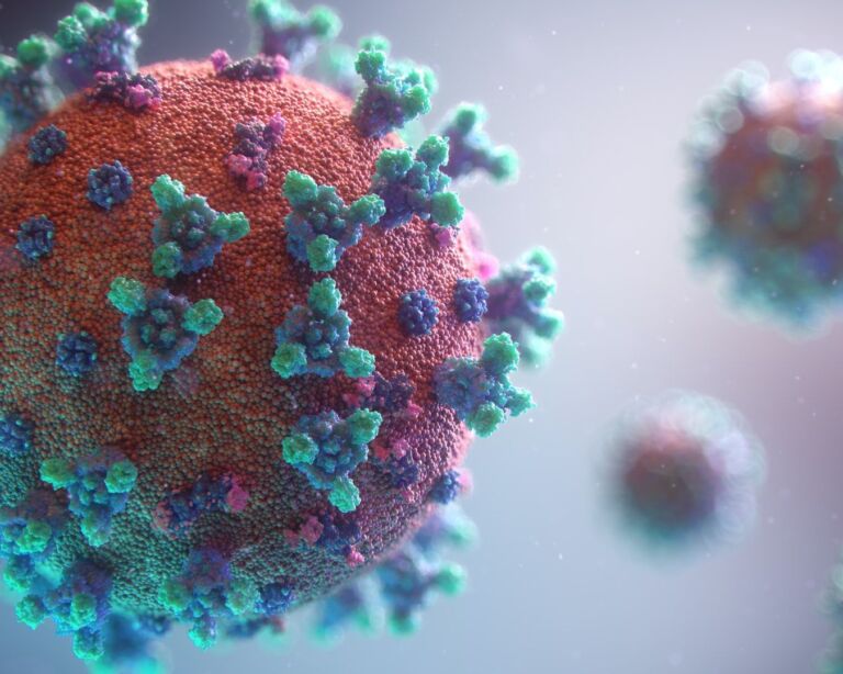 Computer animiertes Bild eines Virus
