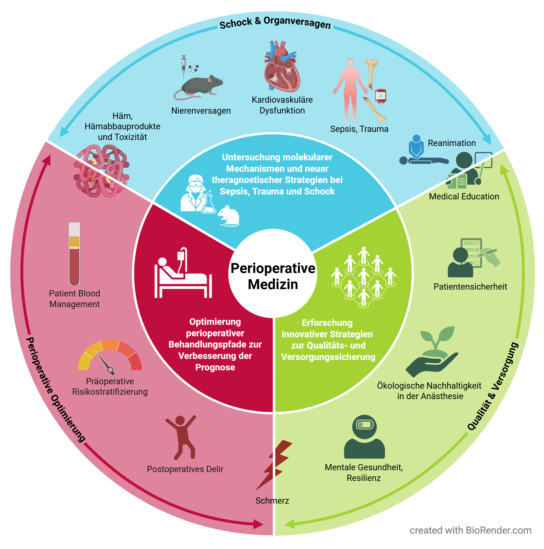 Illustration Forschungsschwerpunkte Perioperative Medizin