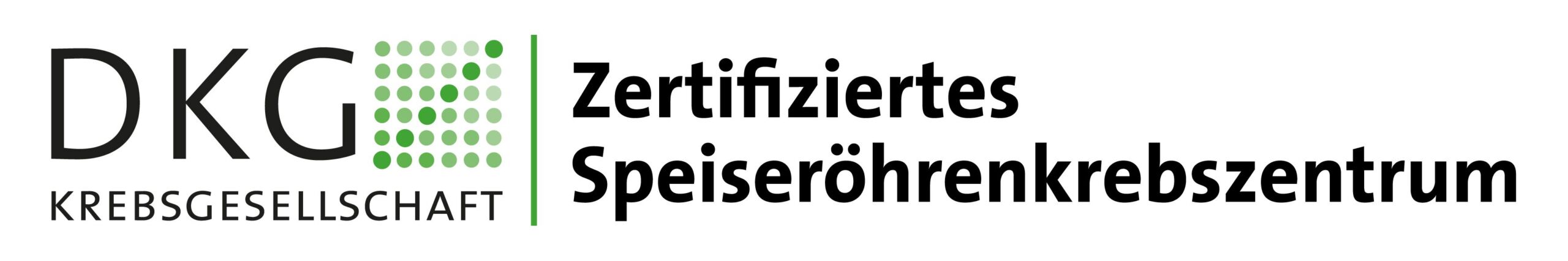 Dkg Speiseröhrenkrebszentrum Zertifikat