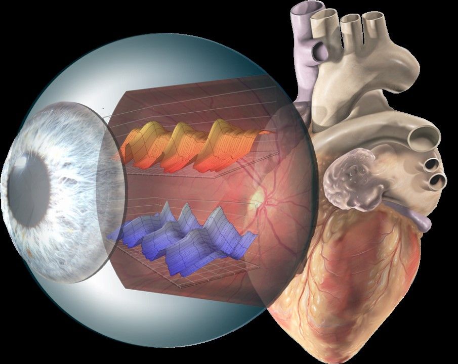 An illustration of an eyeball and a heart 