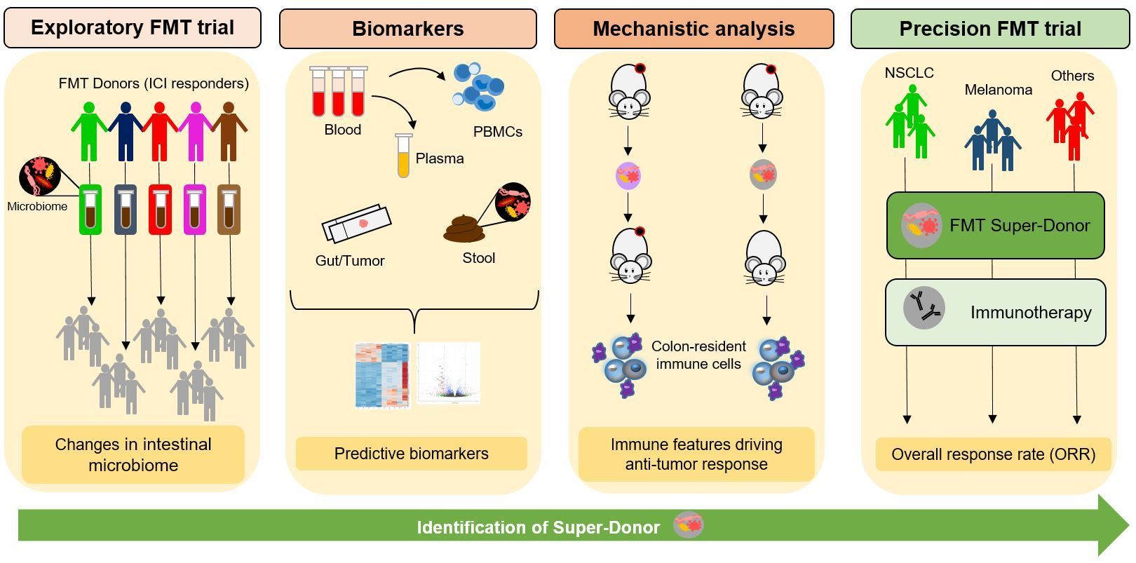 Fig: The Cancer-MicroBiome project work packages to identify Super-Donors for precision medicine 