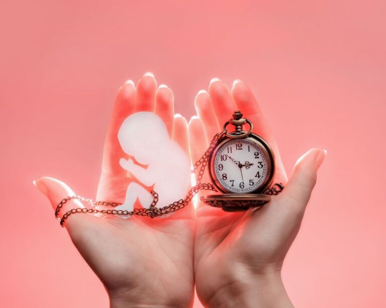Frauenhände, die eine Uhr und eine schematische Darstellung eines Embryos in der Hand halten