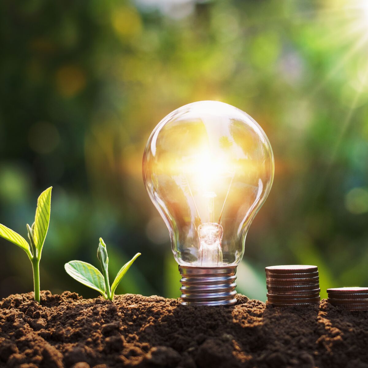 leuchtende Glühbirne mit Pflanzen um sich