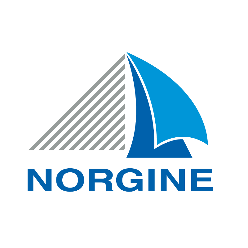 Logo Norgine