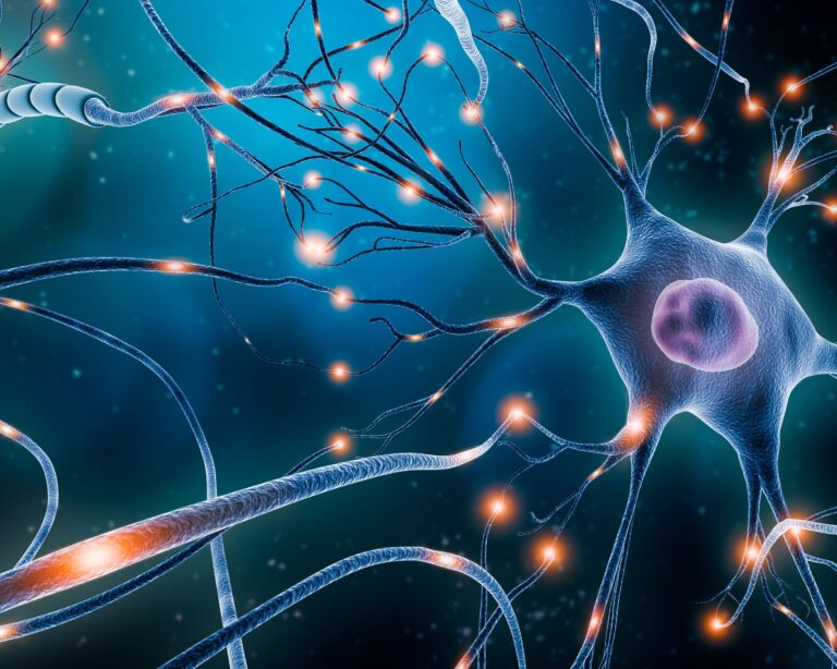 Illustration von Neuronen