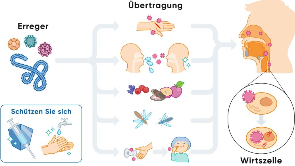Illustration wie ein viraler Infekt übertragt werden kann