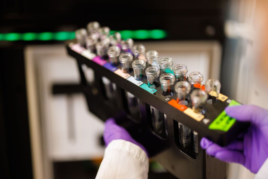 Bild aus der Forschung