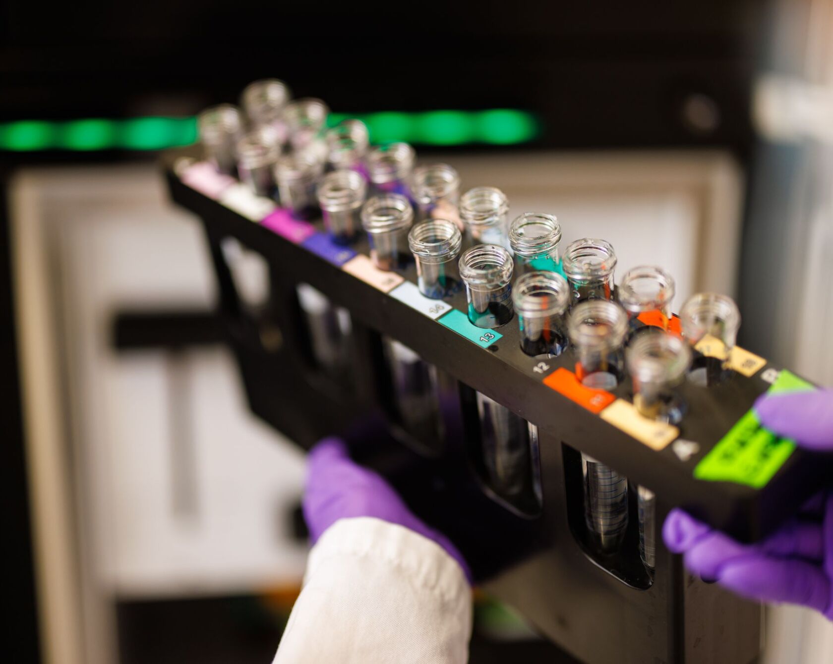 Bild aus der Forschung