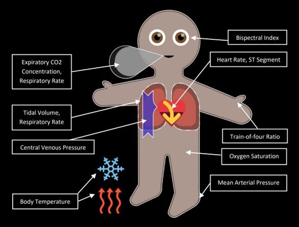 Vitalzeichen und ihre Darstellungen im Visual Patient Avatar